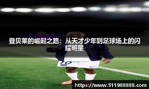韦德体育国际